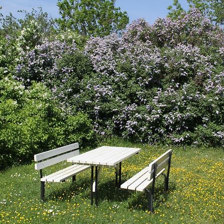 Klockaregarden I Hoegsrum Hogsrum Ngoại thất bức ảnh